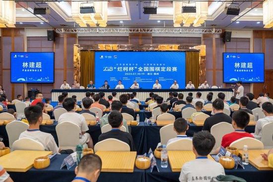 精品国产精品国产偷麻豆